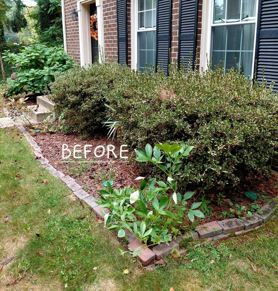 Local garden landscaping for residential properties in Annandale, VA by Rick's Helping Hand