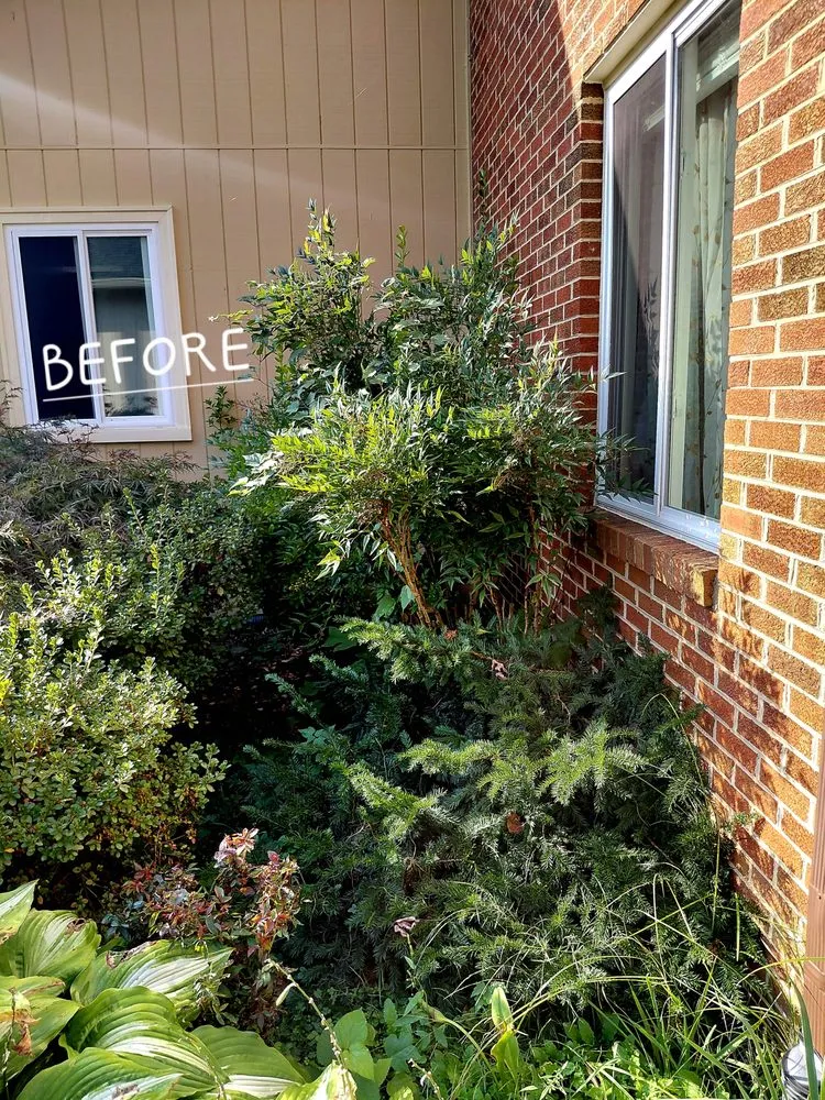 Local outdoor landscaping for beautiful yards in Annandale, VA by Rick's Helping Hand