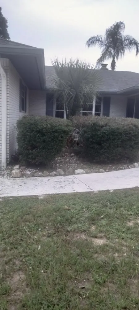 Custom lawn care service for residential properties across Sebastian, FL - Rick's Landscape