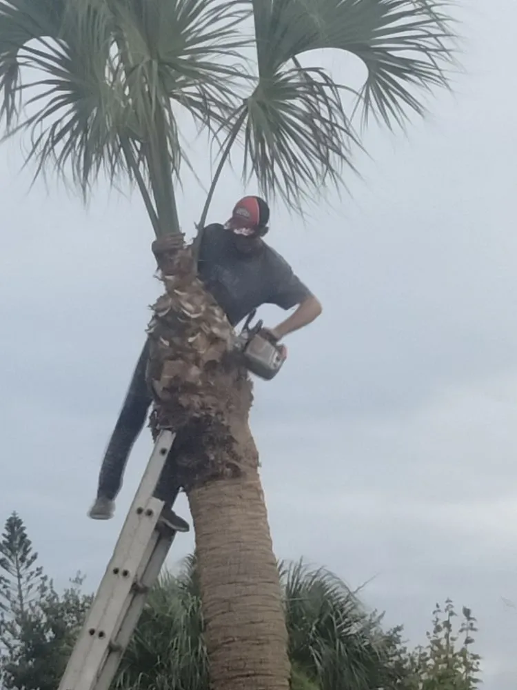 Top-rated garden landscaping for homes across Sebastian, FL - Rick's Landscape