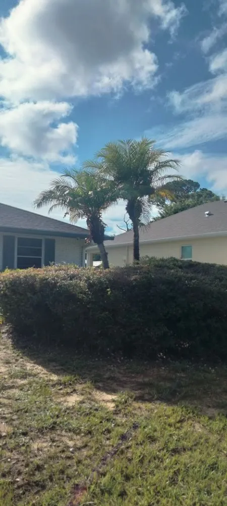 Top-rated landscape design for residential properties in Sebastian, FL by Rick's Landscape