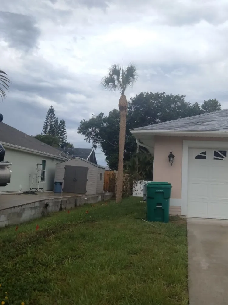 Trusted landscape design with custom design across Sebastian, FL - Rick's Landscape