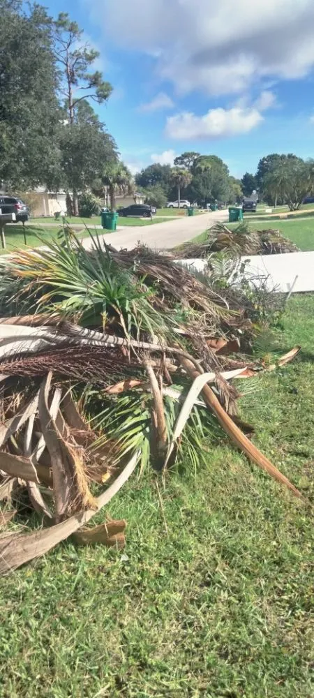 Affordable outdoor landscaping in Sebastian, FL by Rick's Landscape