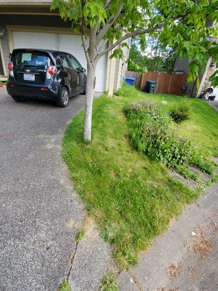 Top-rated garden landscaping in Lynnwood, WA by Rick's Landscaping & Construction