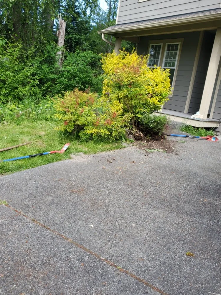 Local lawn care service in Lynnwood, WA by Rick's Landscaping & Construction