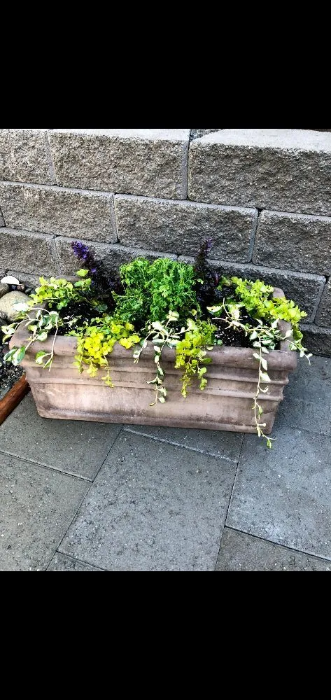 Custom yard maintenance for beautiful yards in Lynnwood, WA by Rick's Landscaping & Construction