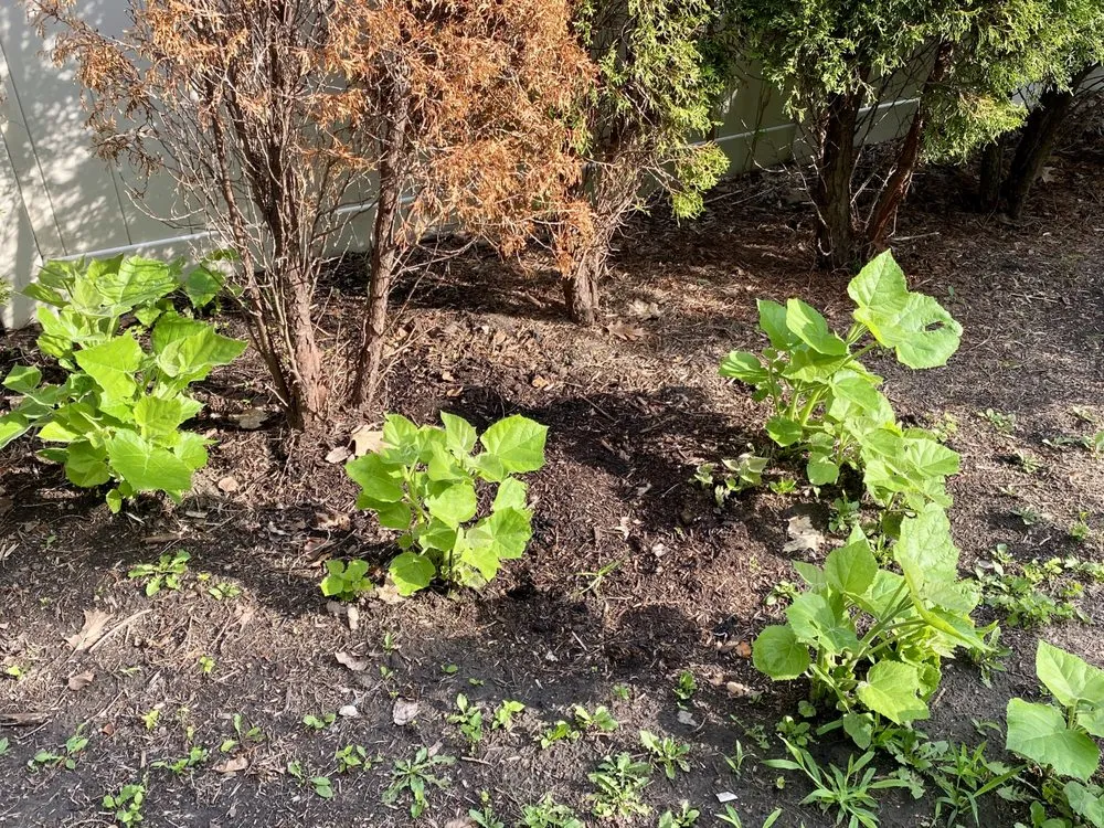 Custom landscaping services in Bolingbrook, IL by Rick's Landscaping & Lawn Care