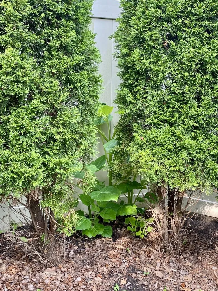 Expert garden landscaping in Bolingbrook, IL - Rick's Landscaping & Lawn Care