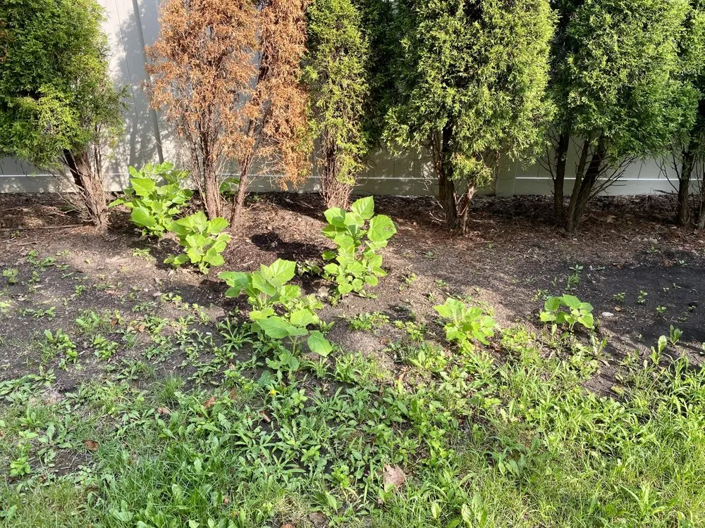 Local garden landscaping for year-round maintenance across Bolingbrook, IL - Rick's Landscaping & Lawn Care