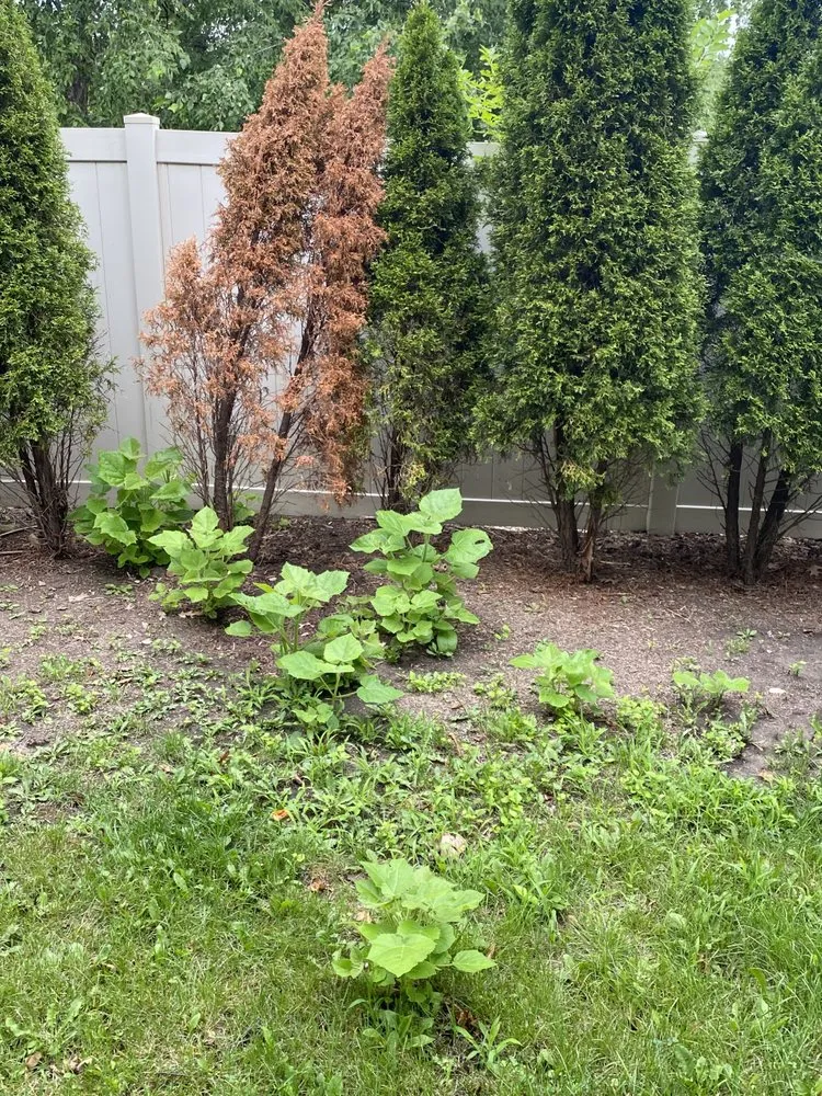 Professional garden landscaping for year-round maintenance across Bolingbrook, IL - Rick's Landscaping & Lawn Care