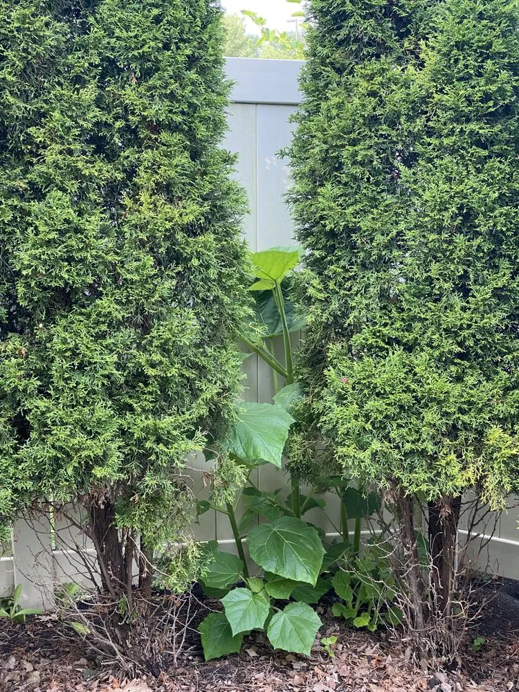 Expert landscape design near you in Bolingbrook, IL by Rick's Landscaping & Lawn Care