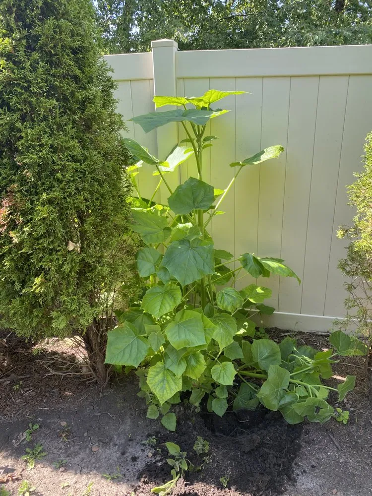 Custom outdoor landscaping experts serving Bolingbrook, IL - Rick's Landscaping & Lawn Care