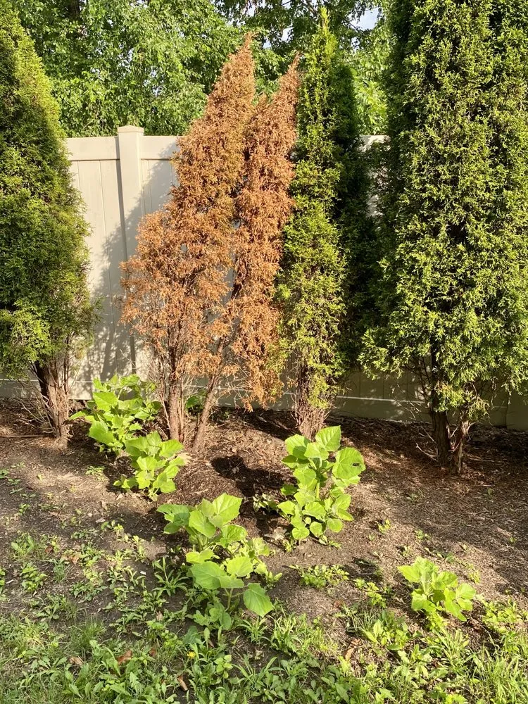 Professional landscaping services experts serving Bolingbrook, IL - Rick's Landscaping & Lawn Care