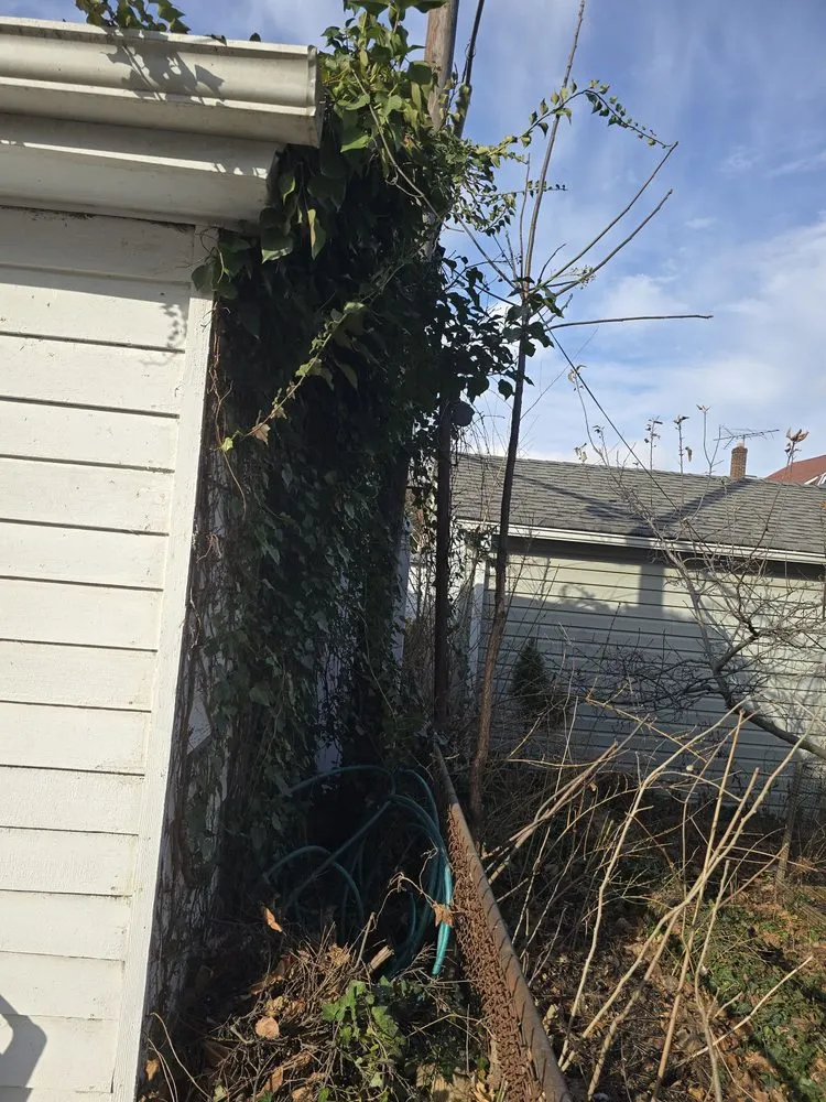 Affordable outdoor landscaping in Maspeth, NY by Ricks Landscaping and Design