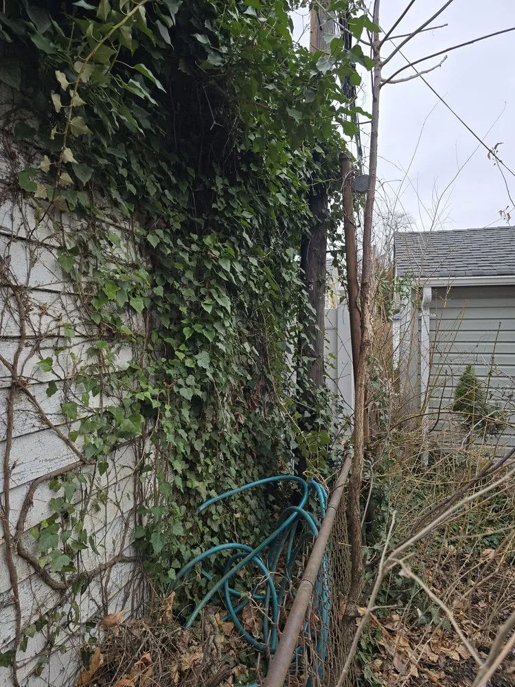 Expert yard cleanup service in Maspeth, NY by Ricks Landscaping and Design