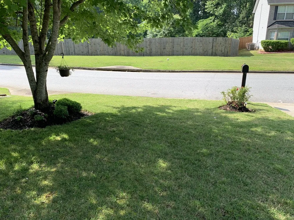 Reliable yard maintenance in Decatur, GA - Ricks Landscaping