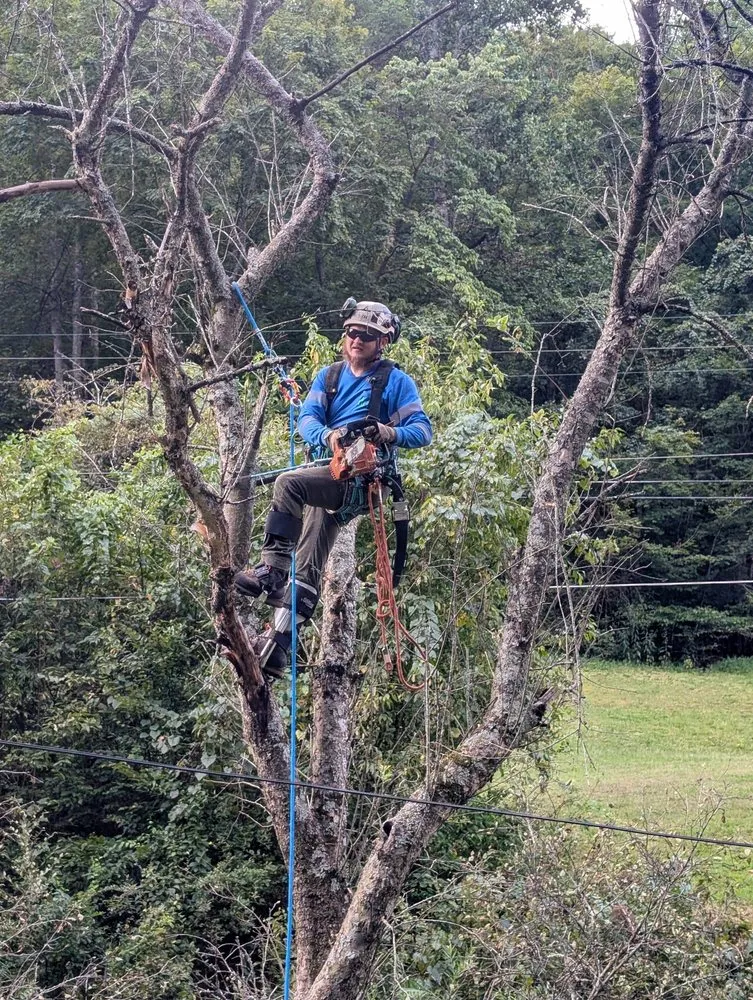 Affordable lawn mowing service in Wayne, WV - Rick's Lawn & Tree Service