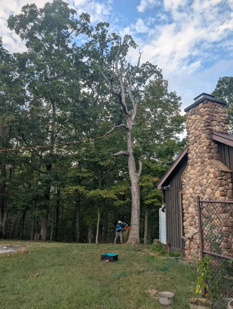 Local outdoor landscaping in Wayne, WV by Rick's Lawn & Tree Service