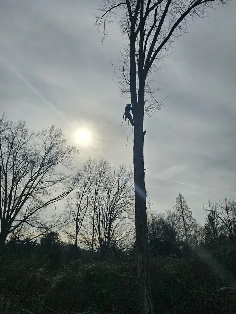 Reliable lawn care service for beautiful yards in Wayne, WV by Rick's Lawn & Tree Service