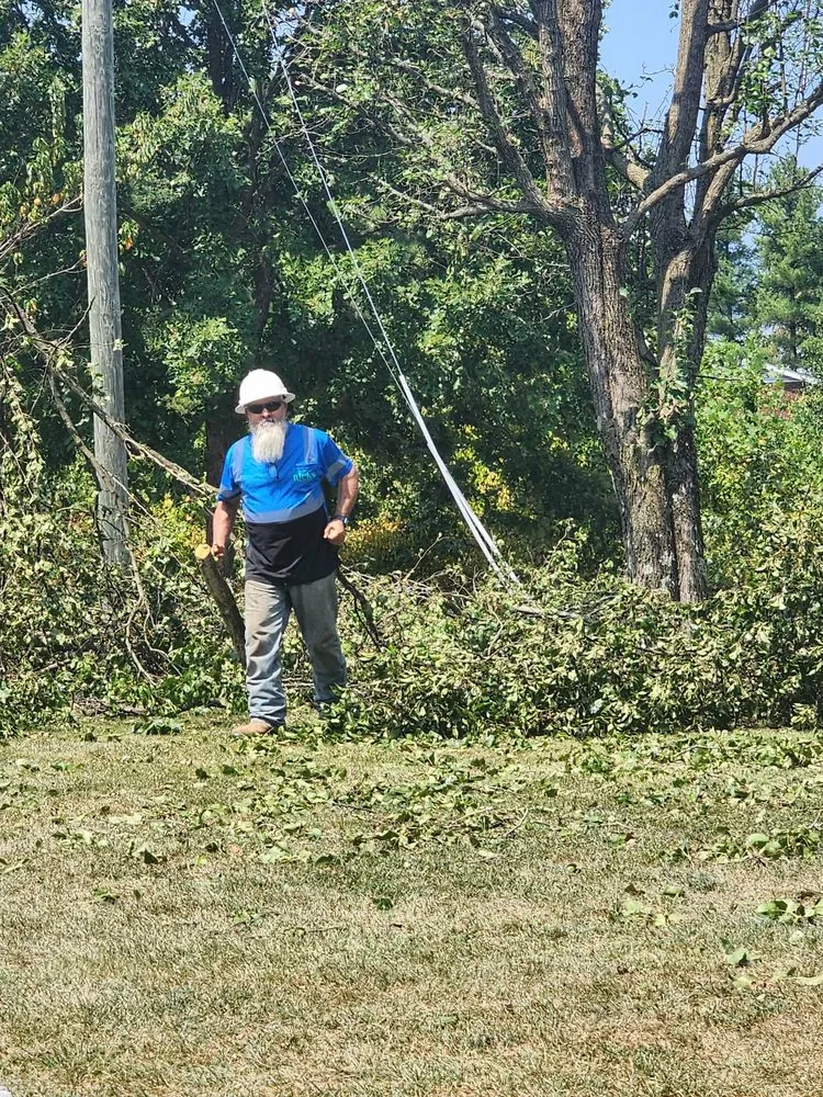 Expert lawn care service for year-round maintenance across Wayne, WV - Rick's Lawn & Tree Service