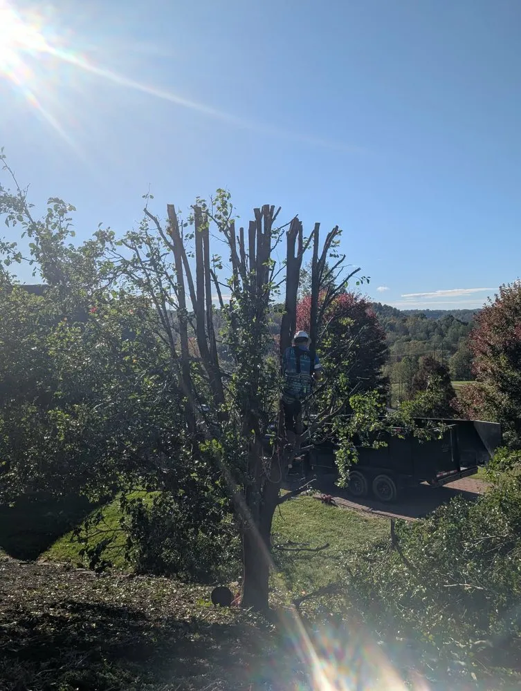 Top-rated lawn care service for outdoor upgrades in Wayne, WV by Rick's Lawn & Tree Service