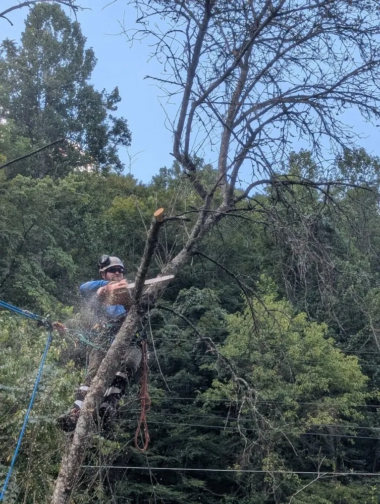 Affordable residential landscaping in Wayne, WV by Rick's Lawn & Tree Service