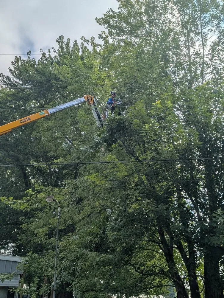 Expert landscape design near you in Wayne, WV by Rick's Lawn & Tree Service