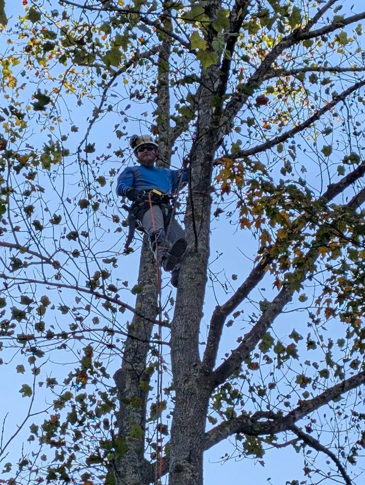 Expert landscape installation in Wayne, WV by Rick's Lawn & Tree Service