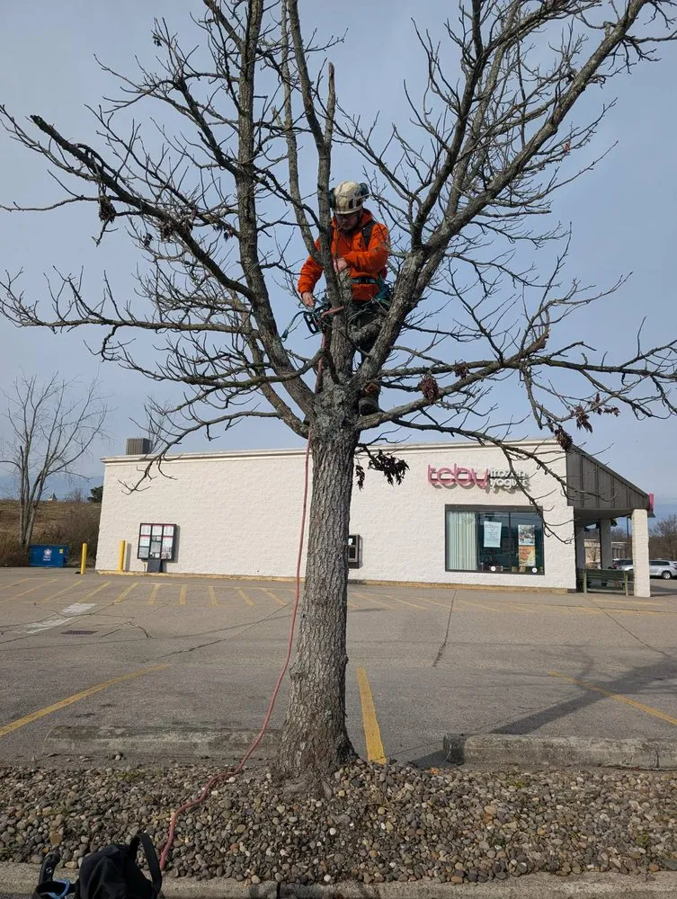 Top-rated landscaping services experts serving Wayne, WV - Rick's Lawn & Tree Service