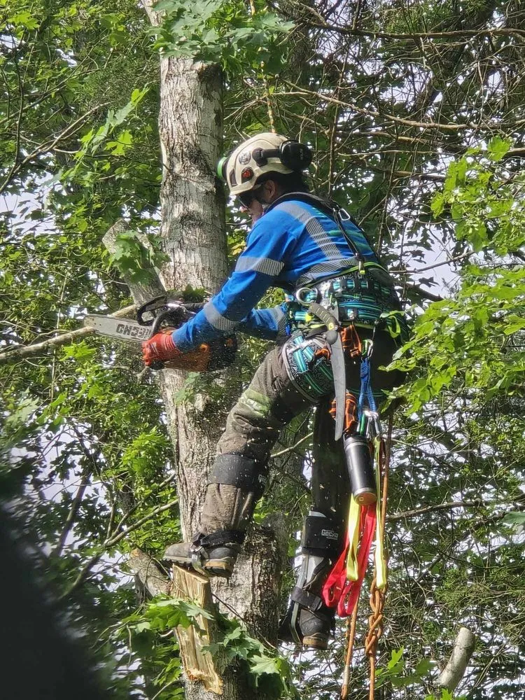 Local lawn mowing service in Wayne, WV by Rick's Lawn & Tree Service