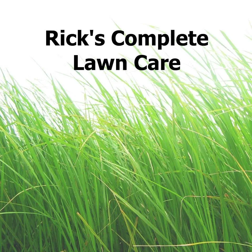 Top-rated yard cleanup service experts serving Lawrence, KS - Rick's Lawn and Landscape