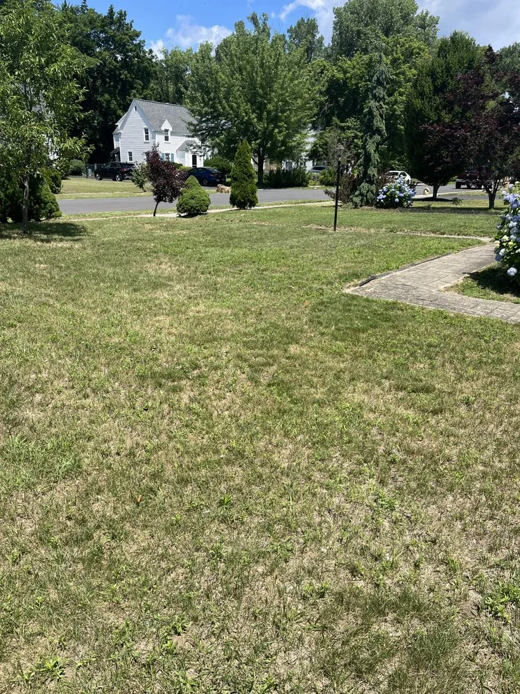 Trusted garden landscaping experts serving Albany, NY - Ricks Lawn Care and Maintenance