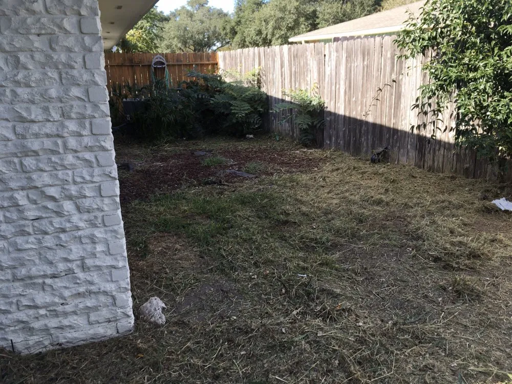 Trusted yard maintenance in Corp Christi, TX by Ricks Lawn Care Service