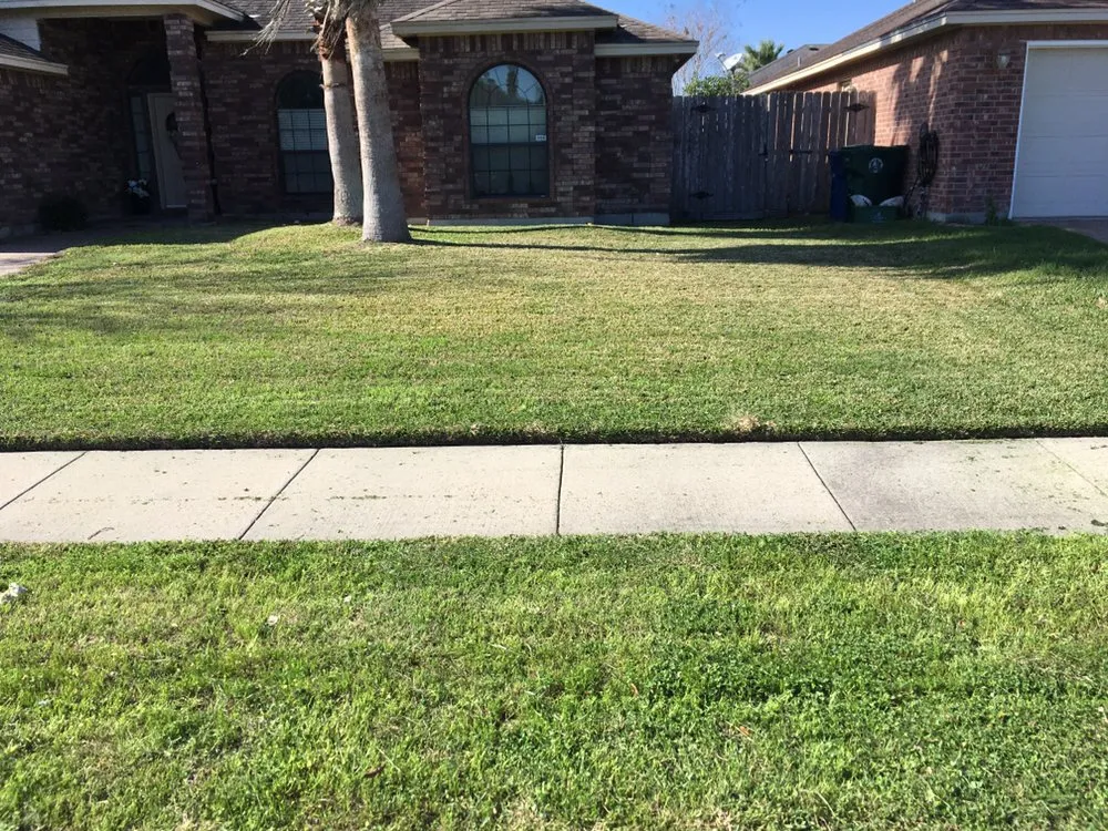 Top-rated yard cleanup service in Corp Christi, TX - Ricks Lawn Care Service