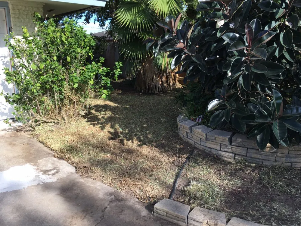 Reliable residential landscaping for residential properties across Corp Christi, TX - Ricks Lawn Care Service