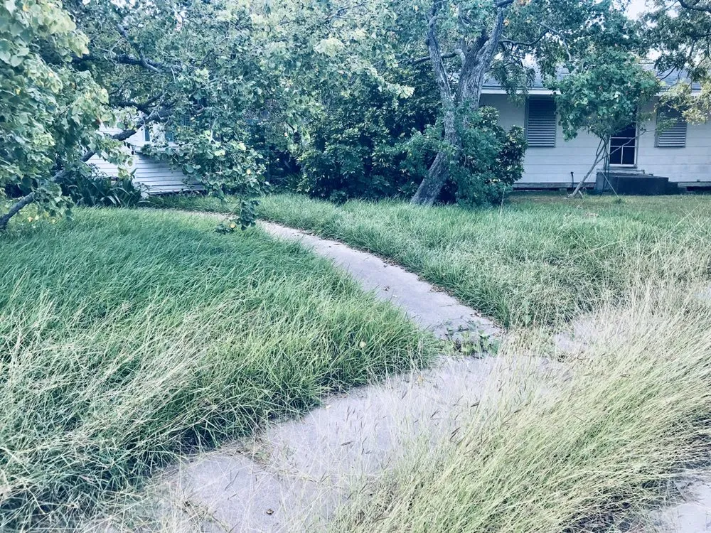 Top-rated lawn care service experts serving Corp Christi, TX - Ricks Lawn Care Service