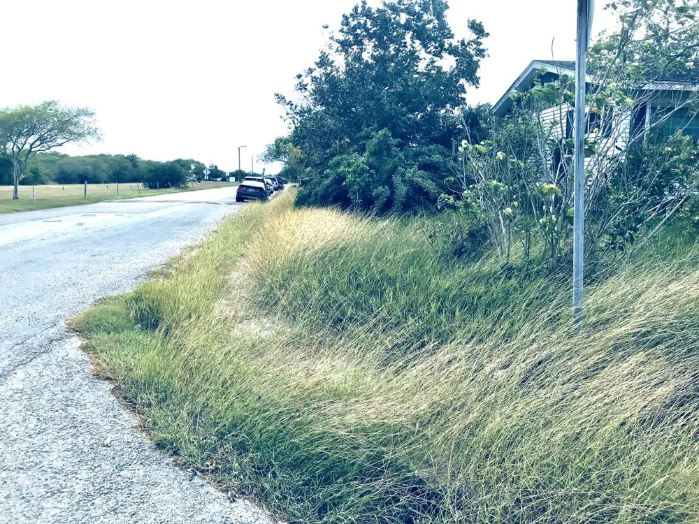 Top-rated yard cleanup service in Corp Christi, TX by Ricks Lawn Care Service