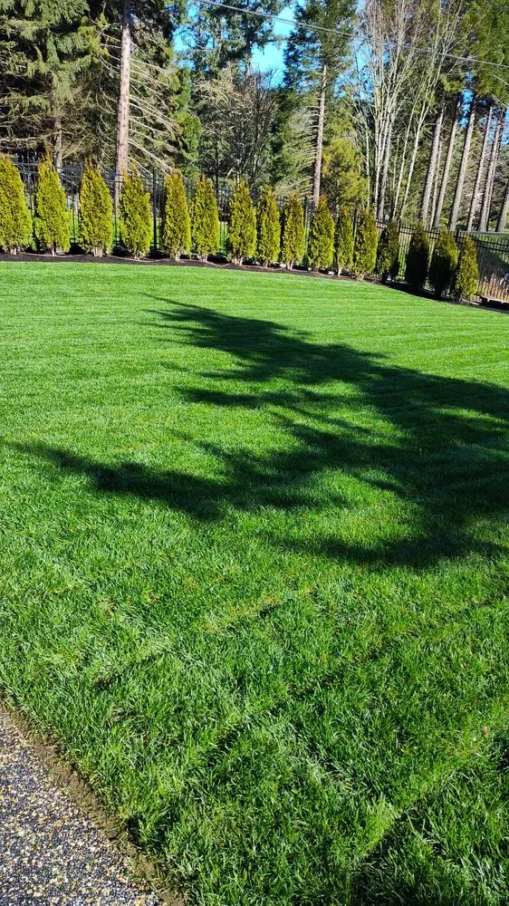 Reliable outdoor landscaping in Eugene, OR - Rick’s Lawn Care Services