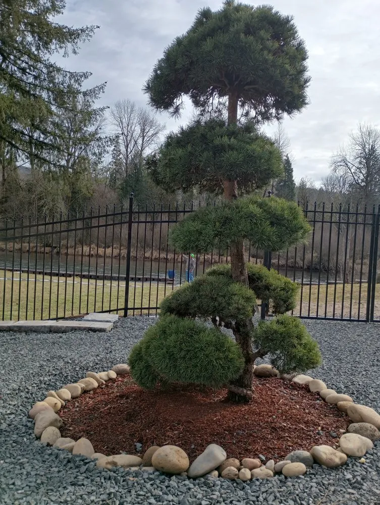 Expert yard cleanup service experts serving Eugene, OR - Rick’s Lawn Care Services