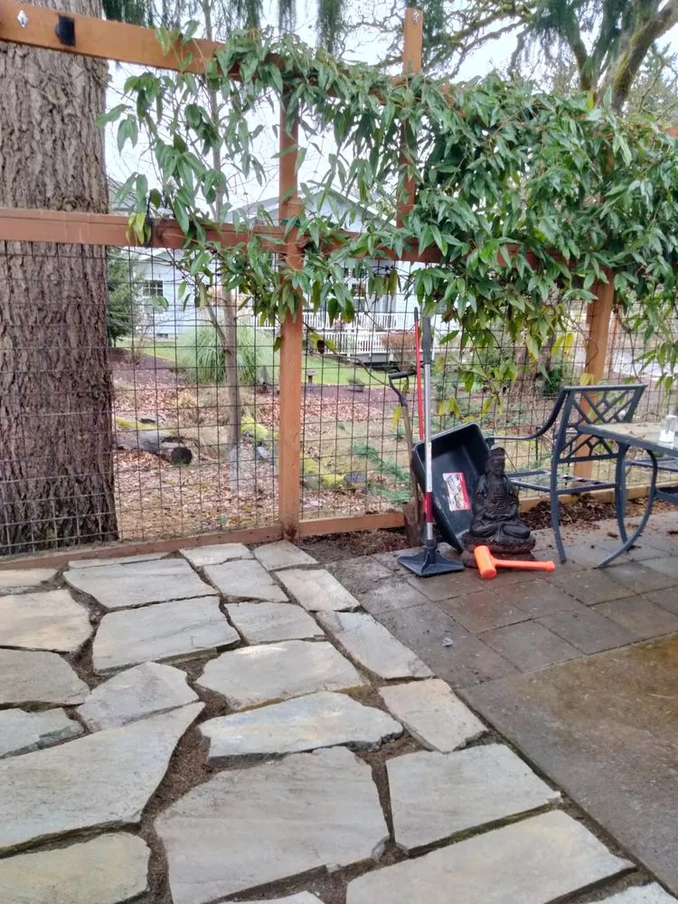 Expert yard cleanup service for year-round maintenance in Eugene, OR by Rick’s Lawn Care Services