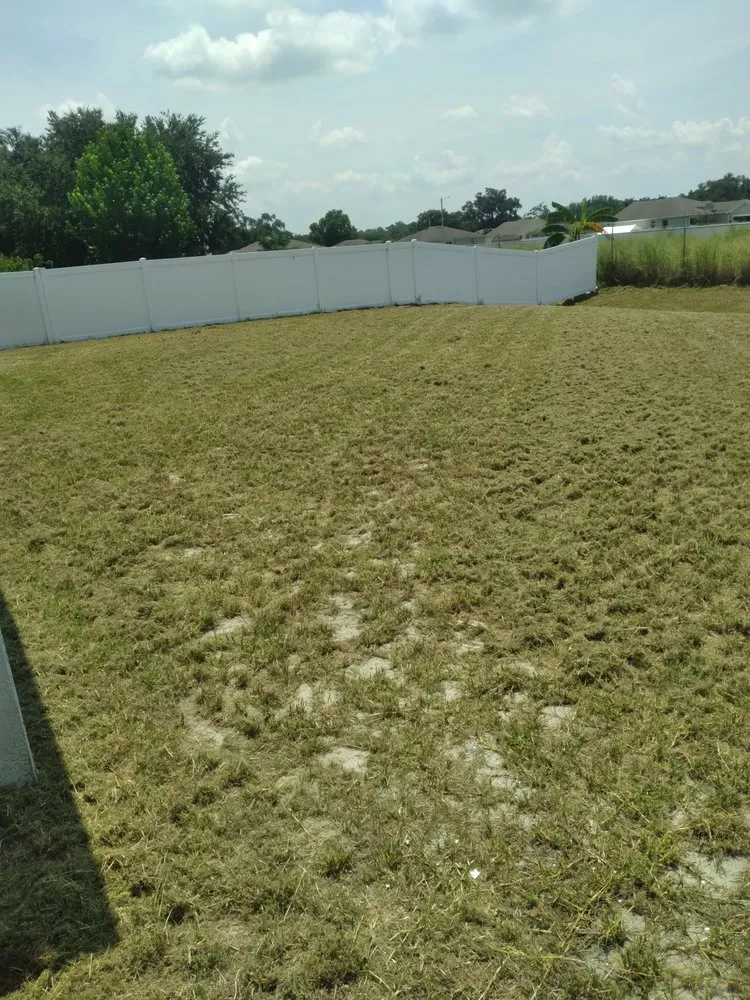 Reliable landscaping services for beautiful yards across Bartow, FL - Rick's Lawn service