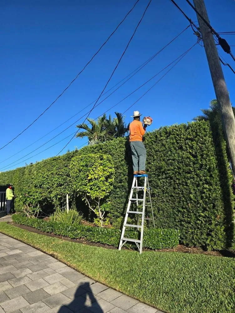 Affordable landscaping services for beautiful yards in Fort Lauderdale, FL by Rick's Lawn Service