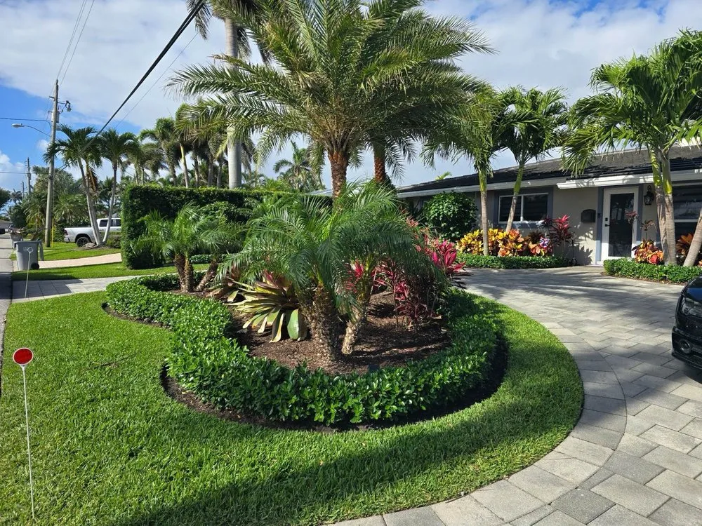 Professional yard maintenance in Fort Lauderdale, FL by Rick's Lawn Service