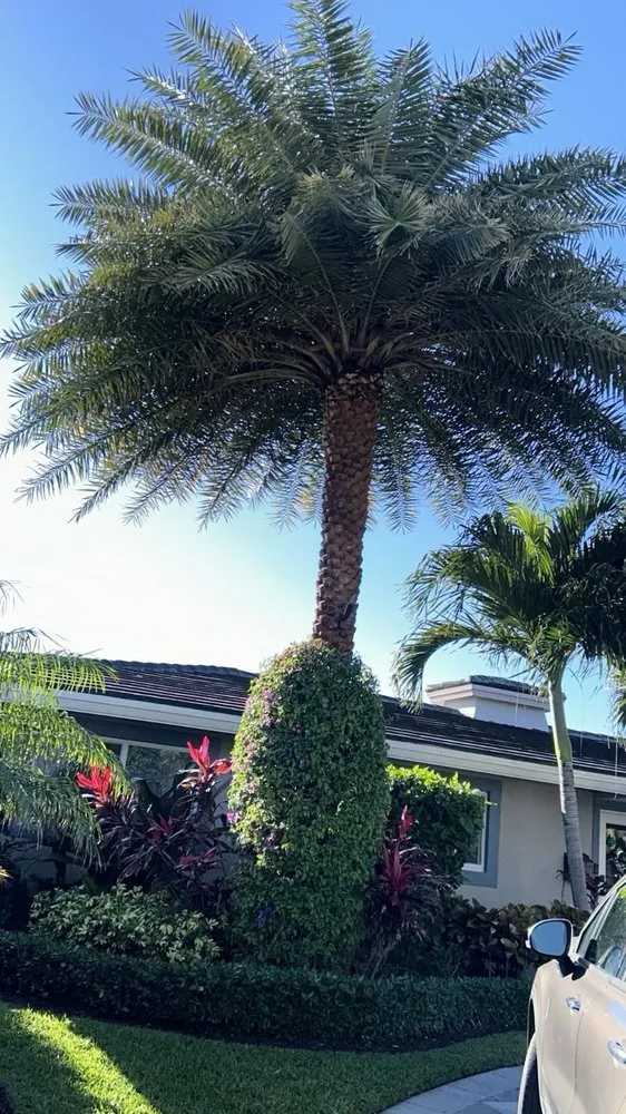 Custom landscape installation for year-round maintenance in Fort Lauderdale, FL by Rick's Lawn Service