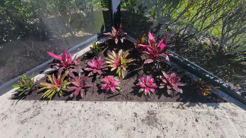 Reliable garden landscaping in Lehigh Acres, FL - Rick's Maintenance Pros