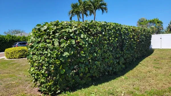 Rick's Maintenance Pros Logo