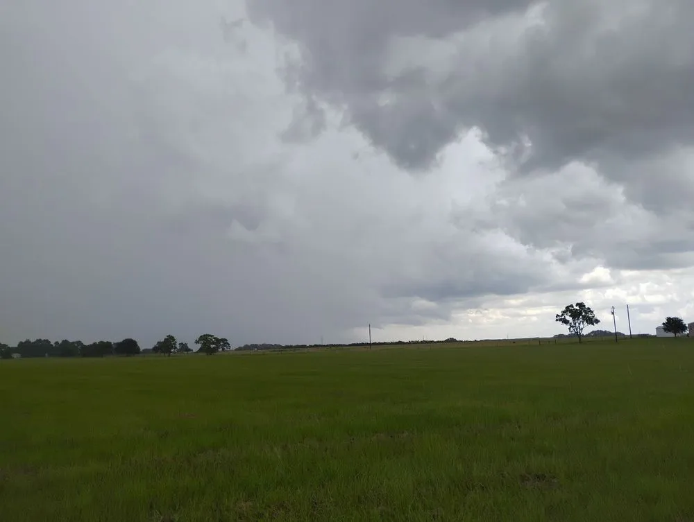 Trusted landscape installation in Weimar, TX by Rick's Mowing and Landscaping