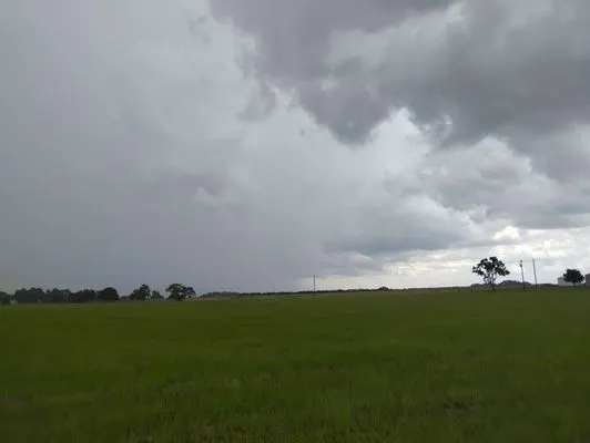 Rick's Mowing and Landscaping