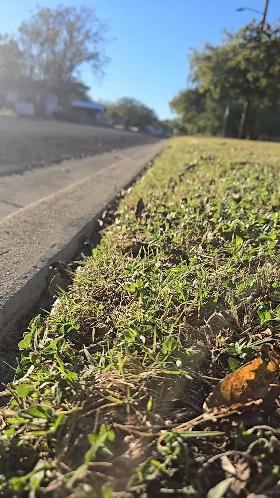 Reliable lawn mowing service in Copperas Cove, TX by Rick's Mowing Services