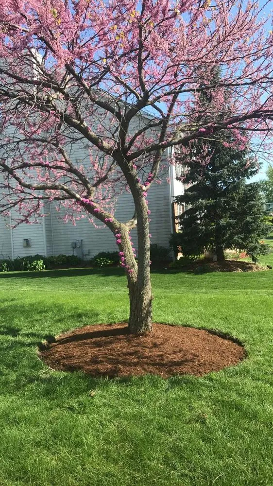 Affordable landscape design for beautiful yards in Aurora, IL by Rick's Mulch And Snow